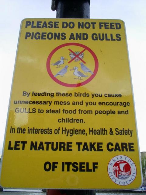 signsdontfeedgulls.jpg